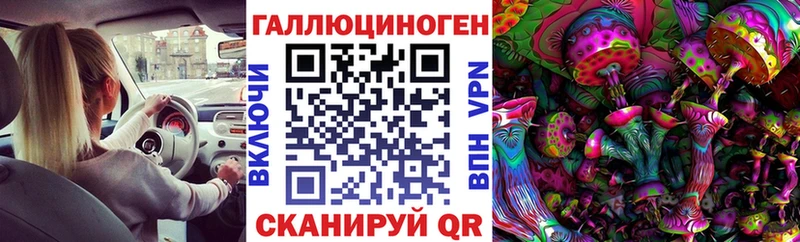 Галлюциногенные грибы Psilocybine cubensis  Себеж 